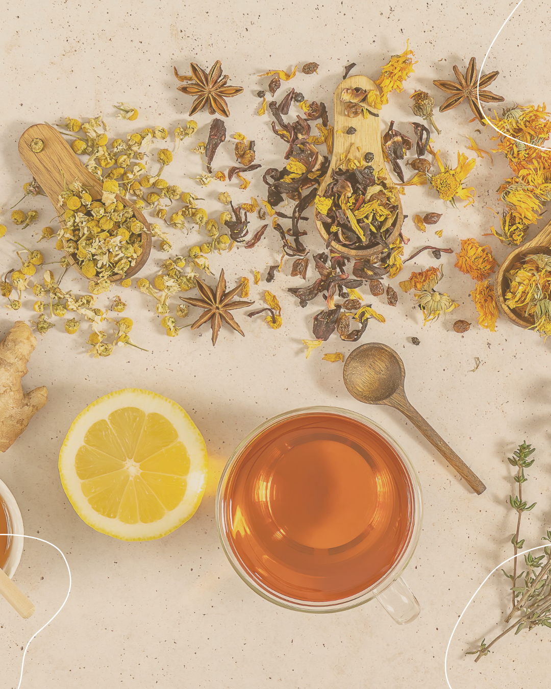 renforcer ses défenses