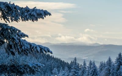 Découvrez le programme Janvier léger