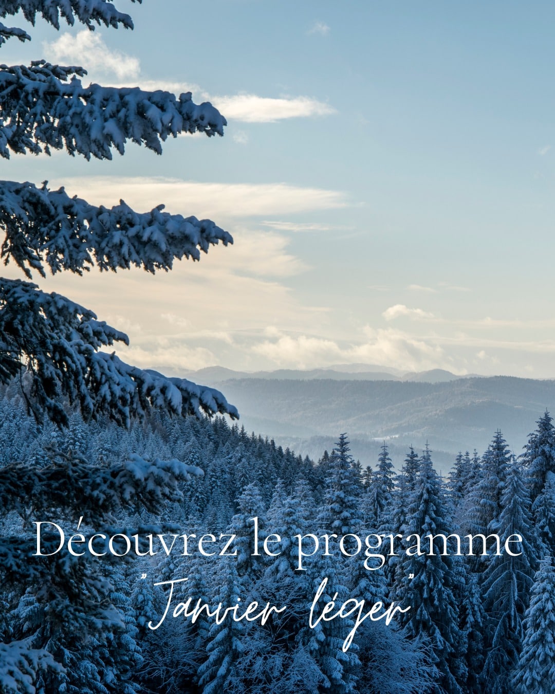 programme janvier léger